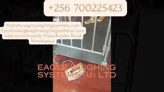 +256 700225423 Heavy duty weight floor industrial scale
