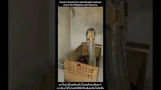 Never make king 😡😡.#kingcobra #angry #hissing #sound
