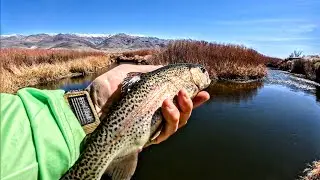 Trout Fishing Owens River #fishing Eastern Sierra
