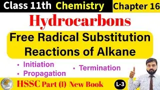 Free Radical Substitution Reactions of Alkanes | Class 11th Chemistry New Book | Organic Chemistry