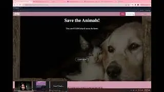 BWH- SaveTheAnimals