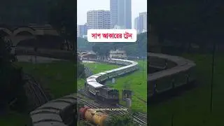 Snake shape train