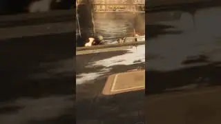 Miles got shot