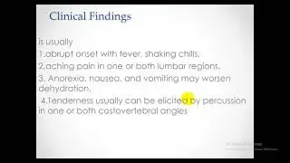 Urinary tract