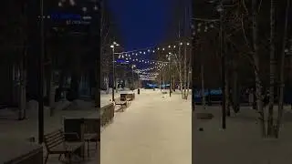Архангельск Зимний Сад 2026 #зима #снежинка #новыйгод #music #snow #новогоднеевидео #travel #снег