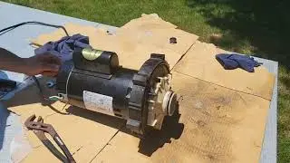 Troubleshooting and Repair of Pool Filter System with Lighting Transformer and Chlorine Generator