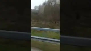 9 января 2026 г.