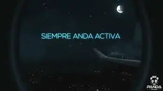 Gata (Lyric Video) El Emcut Y Los Primos