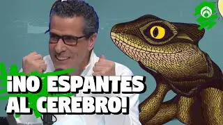 Prop&oacute;sitos vs. cerebro en modo lagartija