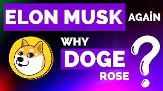 Elon Musk Intervenes - Find Out What Made Dogecoin Soar!