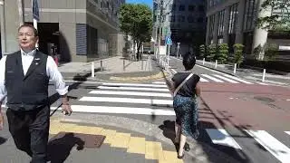 JAL hotel to Yokohama international terminal walk