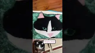 Oops!  #sewing #diy #thriftflip #cat #sewinginspiration #sewingmotivation #scrapfabric
