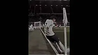 telles and dalot