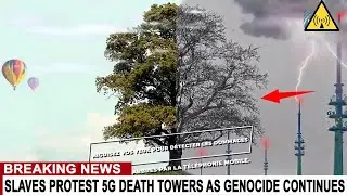 BREAKING: MASSIVE RADIATION SPIKES FROM 5G DEATH TOWERS KILL BIRDS BEES AND TREES - STOP 5G GENOCIDE