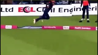 Best ever catch by international women cricketer #shorts #harleen #ENGWvINDW