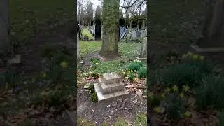 Daffodils read by David Harrop Manchester Southern cemetery