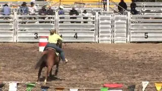 NZ rodeor barrels 1