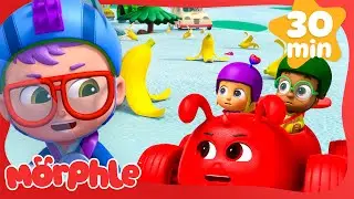 Winston's Wacky Rally!🏎️🏁 | Morphle | Fun Cartoon Videos | Kids Animation