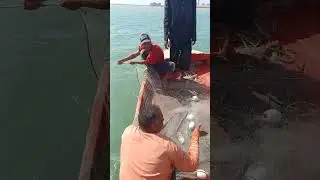 fishing sonera charna.ilan
