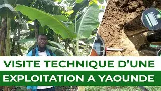 VISITE TECHNIQUE D'UNE EXPLOITATION A YAOUNDE (CAMEROUN)