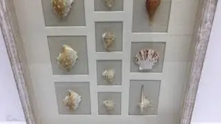 Sea shell shadow box wall art