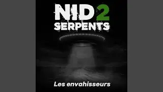Les envahisseurs
