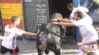 ✅CARCABUEY  04 ◾ XIV Congreso NACIONAL Toro con Cuerda