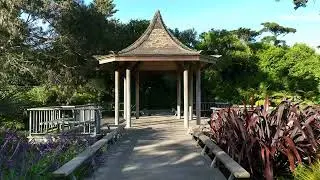 San Francisco Botanical Gardens Drone Video Tour | Private Event Rentals