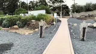 Paragliding Landing La Caleta Beach | Tenerife (Taucho)