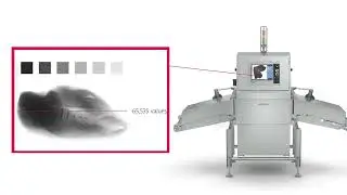 Enhanced Poultry Inspection | Eagle Product Inspection