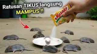 KENAPA TIDAK DARI DULU‼️Tikus langsung MAMPUS dalam SEKEJAP
