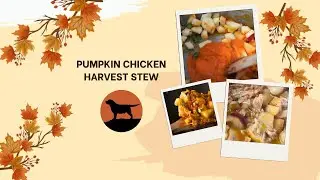 Pumpkin Chicken Harvest Stew (for dogs)
