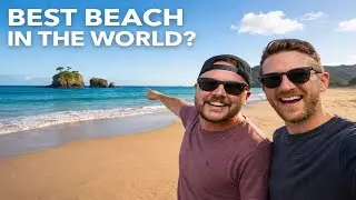 The Best Beach in New Zealand / the World?! The Coromandel