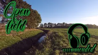 Let's walk! | Open Field | ASMR-like relaxation video with binaural nature-sounds
