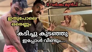 ഉഗ്ര ശേഷിയുള്ള കടിയൻ Dogo Argentino.. വീണ്ടും ആവർത്തിക്കുമോ.. Dog challenge 