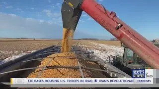 Rain, snow affecting corn harvest