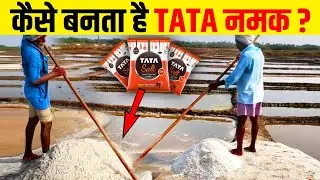 फैक्ट्री मे इस तरह बनाया जाता हैं TATA नमक | Salt Production & Manufacturing Process