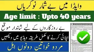 Wapda latest government jobs 2025/How to apply for wapda jobs / latest government jobs 2025