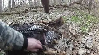 Iowa Public Land Turkey 2020 Loess Hills
