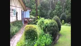 Bed and Breakfast Brisbane and Sunshine Coast Hinterland
