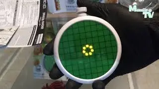 Replica del Radar del Drag&oacute;n Unboxing - Proplica Dragon Radar