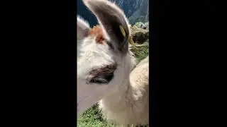 Machu Picchu, the Lost City of the Incas | Ruins