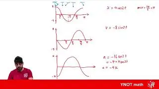 Simple Harmonic Motion