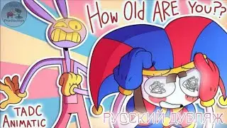 ТАК, СКОЛЬКО ТЕБЕ? [УДИВИТЕЛЬНЫЙ ЦИФРОВОЙ ЦИРК Фан-анимация] || THE AMAZING DIGITAL CIRCUS [RUS DUB]