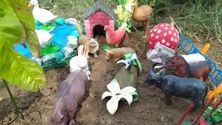 Animal cartoon | cartoon for kids |creat mini zoo | mini farm house | animal toys cartoon | toy