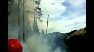 Waldbrand, Feuerwehr D&uuml;dingen: Blaulichtfahrt und Helikoptereinsatz - St&uuml;tzpunkt Feuerwehr D&uuml;dingen