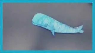 Stop Whaling