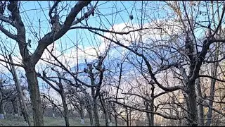 چینل یوتیوب میدیا سوئیس بهترین ویدئوها بننده باشید بهترین لایف هارا ببینید بهترین طبیعت از سوئیس