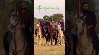 Kashmir Pak Tent Pegging Club Mangla #horse #travel #adventure #nature #kashmir #pakistan #olypics
