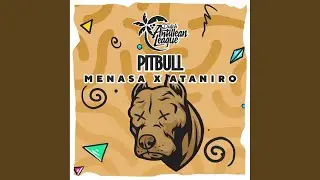 Pitbull (Original Mix)